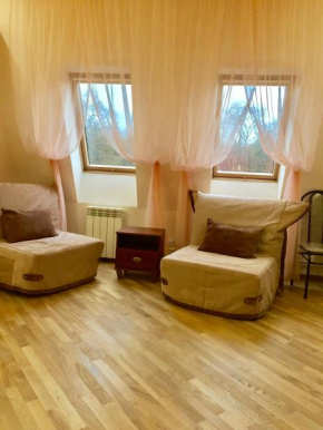 Apartment na Konstitutsii